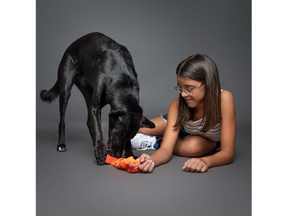 NOAH & PAW Luxury Dog Toy, TPU- Sling, Black