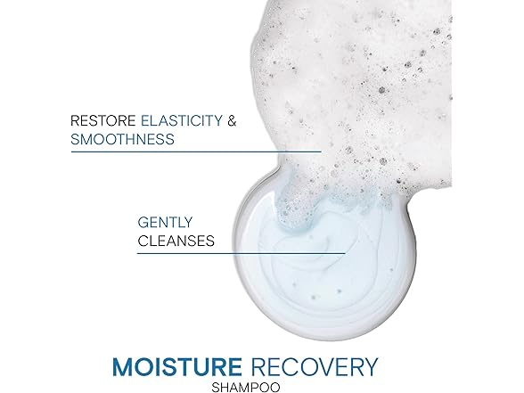 Joico Moisture Recovery Shampoo (2Pk)