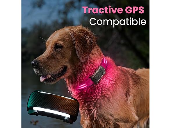 Tractive LED Light Up Dog Collar USB Rechargeable Pink Small