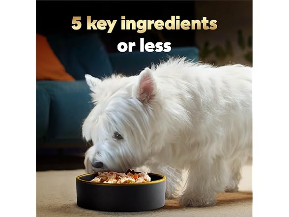 2PK Cesar Simply Crafted Wet Dog Food Topper