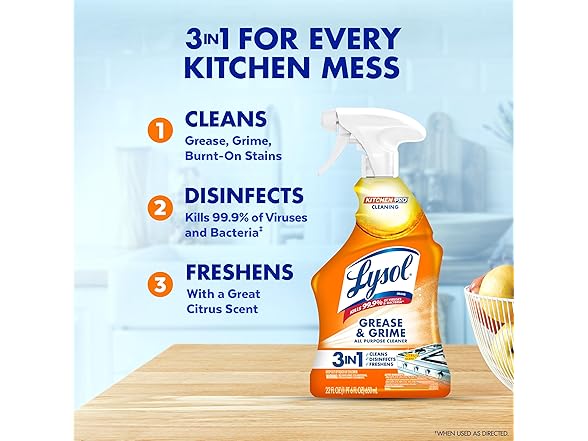 Lysol Pro Kitchen Spray 22oz (1ct)