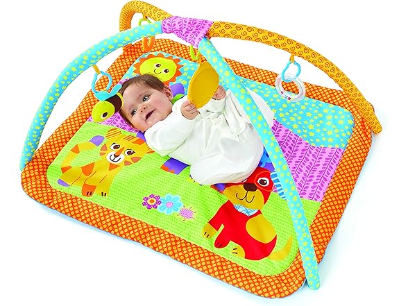Bruin My 1st Playgym