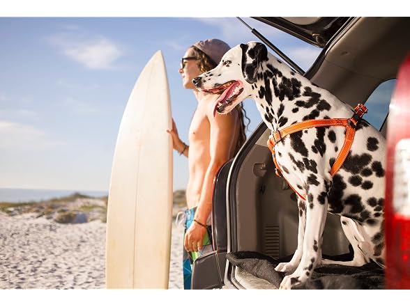 Reflective Adjustable Dog Step in Harnes Lar