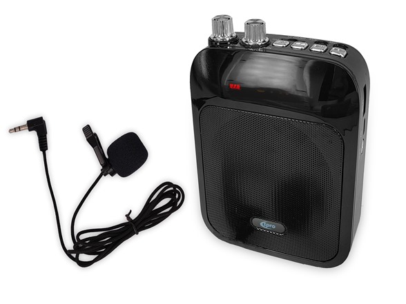 100W Portable PA Speaker System