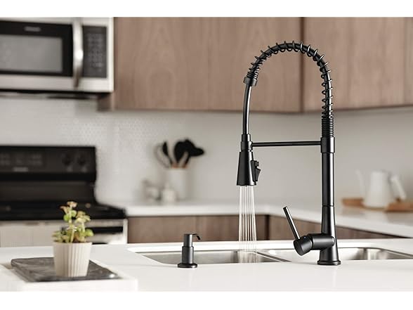Precept Pull-Down Faucet