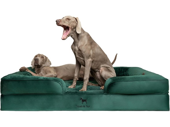 NOAH & PAW Dog Beds- Size and Style VARIES - Gallery 13