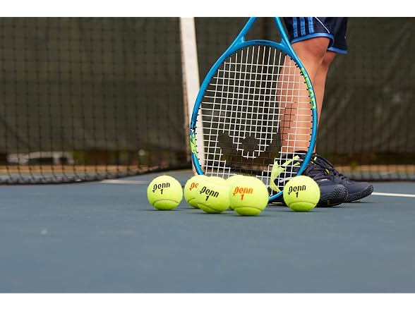 Penn Championship Tennis Balls -