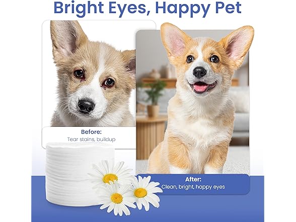 AKC Coconut Scent Pet Eye Wipes, 100Ct
