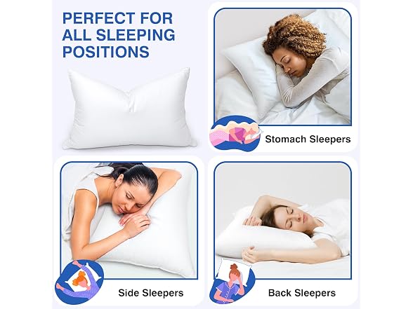 zibroges Feather Pillows Queen Set of 2