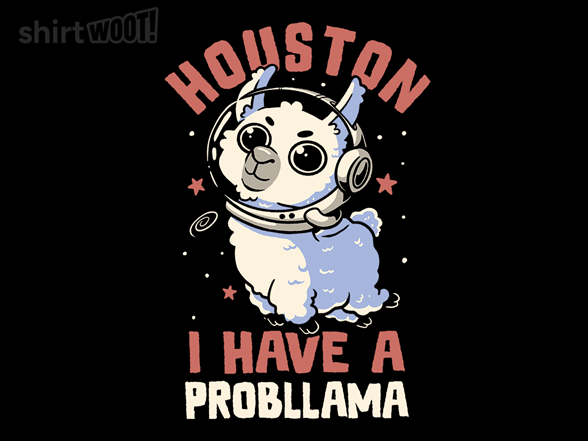 Houston I Have a Probllama