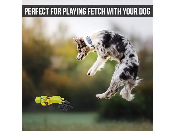 Hyper Pet Flying Series Fetching Dog Toys - Gallery 5