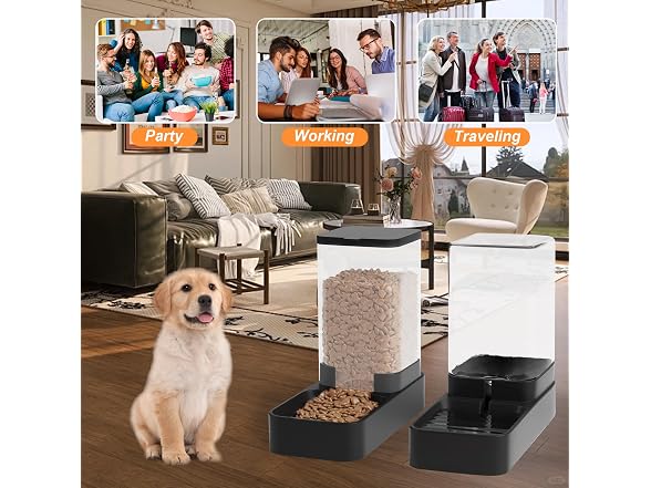 Wefeedy Automatic Cat Feeder and Water
