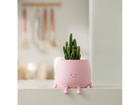 TOPOLA Happy Face Planter
