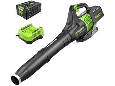 $134.99, Was $269.99, 50% Off! Greenworks 80V Cordless Brushless Axial Leaf Blower dealfomo
