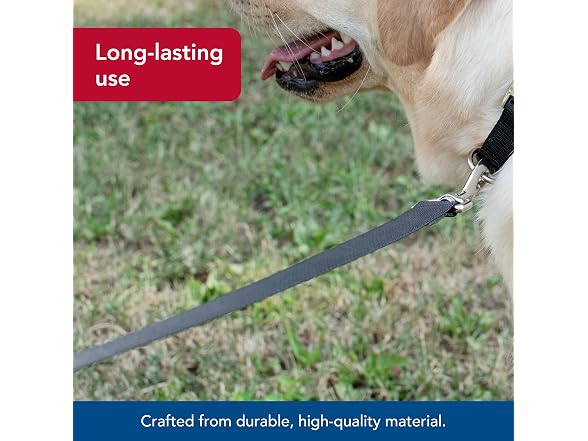 Coastal Pet Single-Ply Dog Leash - Sturdy Pet