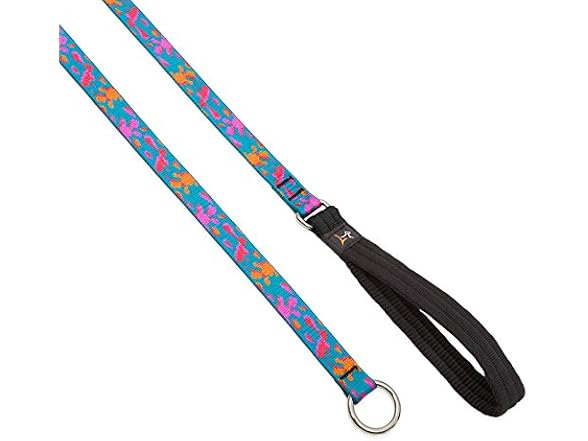 LupinePet Originals 3/4" Wet Paint 6-foot Sl