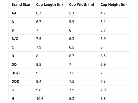 ButtonMode Women Padded Cups Insert Sew Bra - Gallery 8