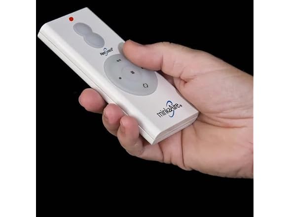 Minka-Aire RC210 Hand Held 32 Bit