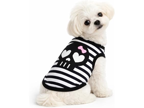 Petitebella Black Skull Face Puppy Dog Shirt