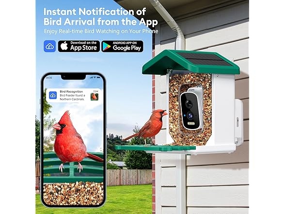 Niuberber Smart Bird Feeder with Camera