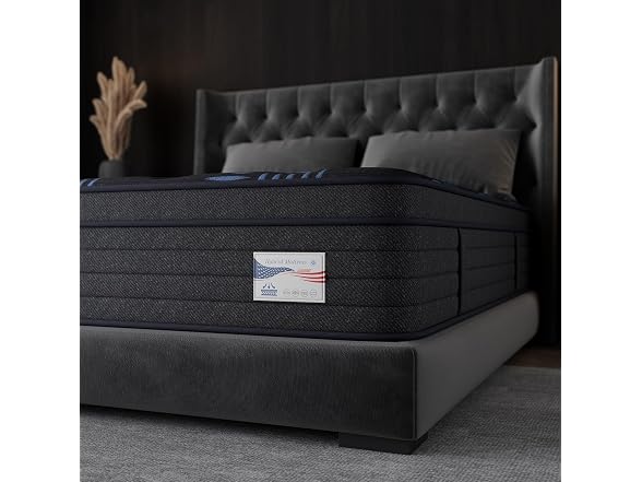 Nedersal 14" Queen Medium Firm Mattress