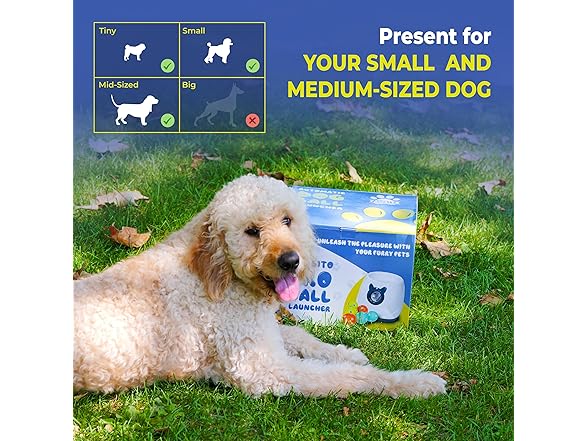 Pawsito Automatic Dog Ball Launcher