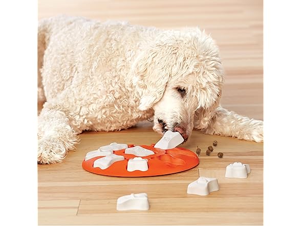 Outward Hound Dog Smart Treat Puzzles
