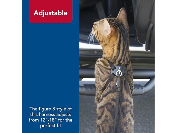 Coastal Pet Size Right Snag-Proof Adjustable