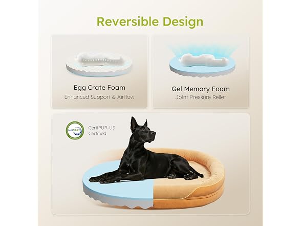 CWAWZ Brown XXL Orthopedic Dog Bed 53"