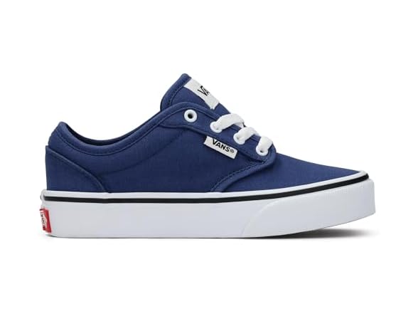 Vans Atwood Embroidery True Shoe