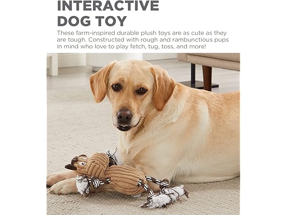 Ranch Roperz Horse Plush Squeaky Dog Toy