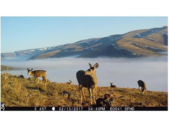 Browning Trail Cameras Strike Force Pro X