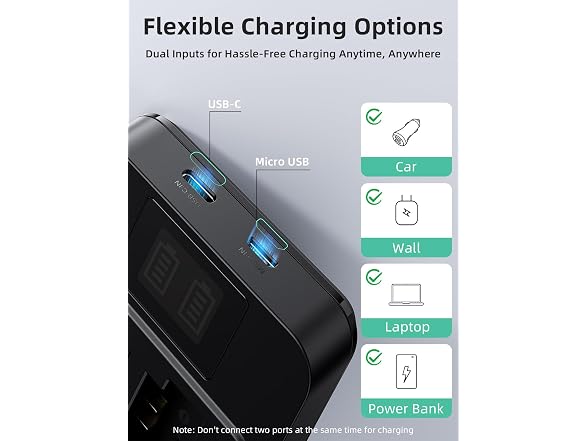 NP-FZ100 Batteries (2) + Dual Charger