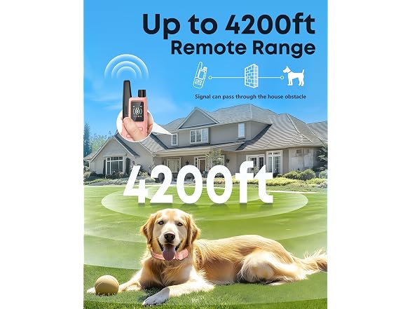 Jugbow Dog Shock Collar with Remote