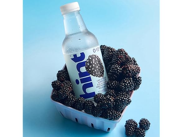 12PK Hint Fruit-Infused Bottled Water, Blackberry
