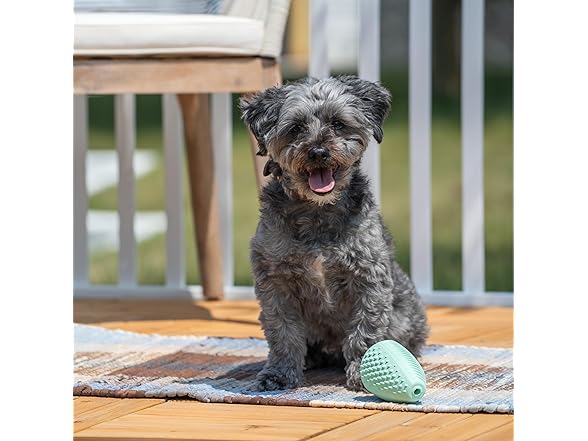 Chew King Treater Dental Dog Toy