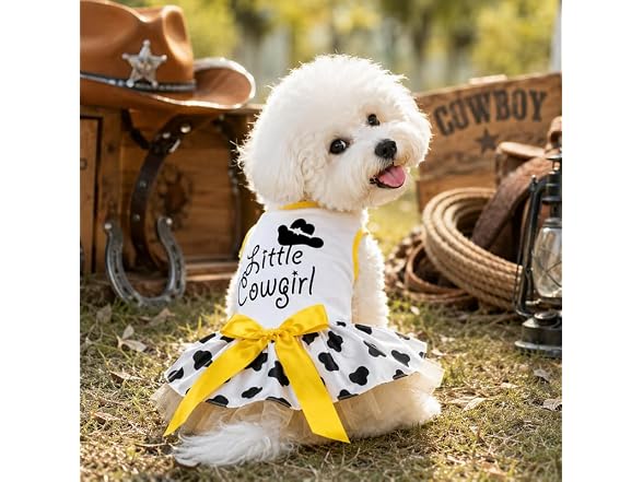 Petitebella Little Cowgirl Puppy Dog Dress (