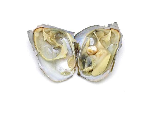 Sagittarius Zodiac Pearl Necklace Love with