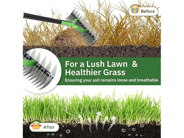 13" Wide Dethatcher Rake