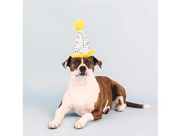 Fringe Studio Plush Dog Toy, Time to Celebrate