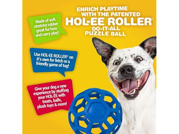 JW Pet Hol-ee Roller Dog Toy Puzzle Ball, Small