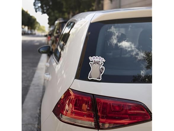 3pc Raccoon Chaos Sticker Meme