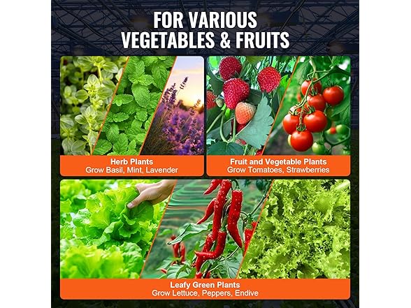 VEVOR DWC Hydroponics Grow System
