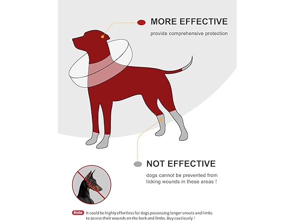 Small Soft Inflatable Dog Cone