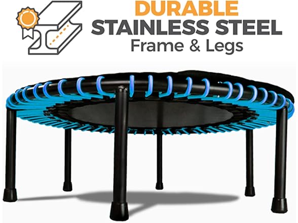 Leaps & Rebounds Bungee Rebounder V2