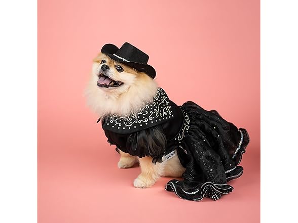 Doggy Parton Fur Trimmed and Rhinestone Hat