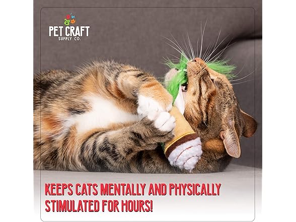 Pet Craft Supply Catnip Crinkle Toy 2Pk