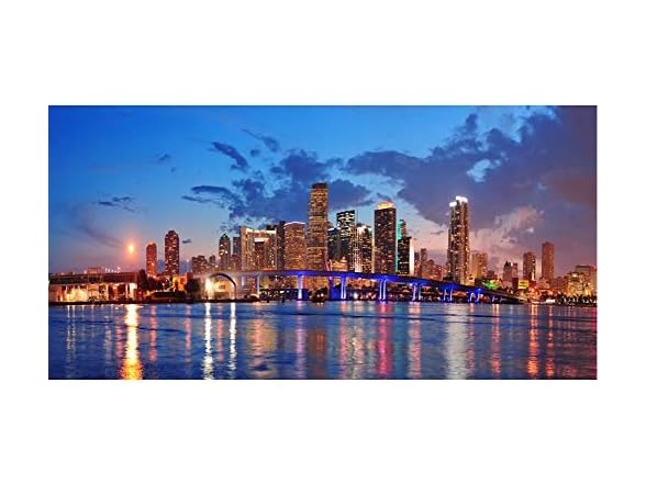 DORCEV 20x10ft Miami Florida City Night