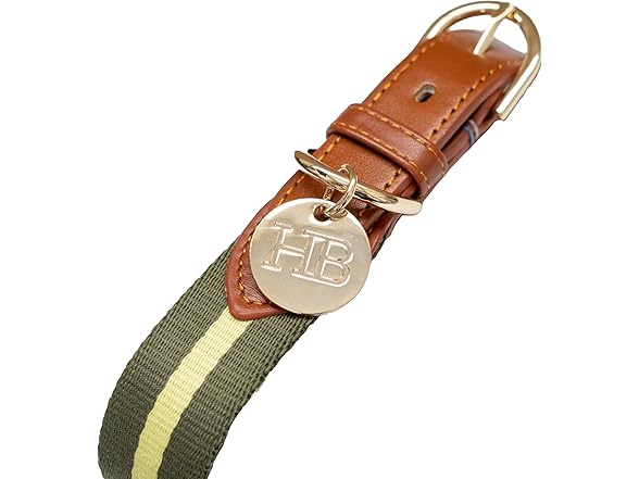 Harry Barker Green Pieced Stripe Buckle Collar