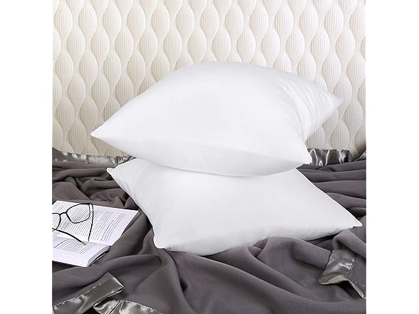 Throw Pillows Insert (Pack of 2) 18"x18"